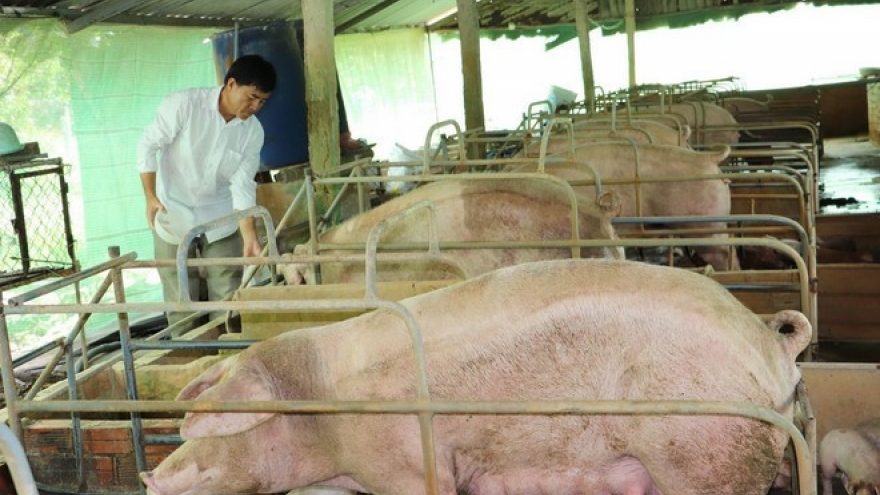 Vietnam’s livestock exports reach US$410.7 million in eight months